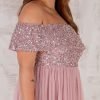 Maya Frosted Pink Bardot Embellished Maxi Dress