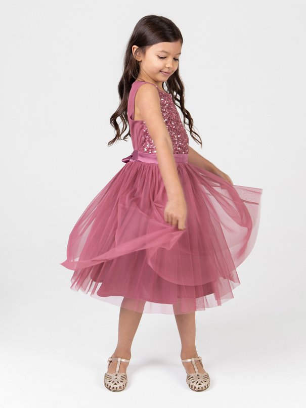 mini maya desert rose