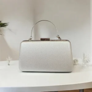 Silver handbag - solid case and handle