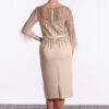 Back view of the champagne dress with sparkly sheer back and back split Back view of the champagne dress with sparkly sheer back and back split